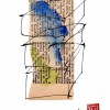 BirdCages%202015%20w%20CANVAS